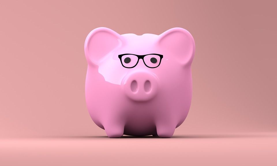 Piggy bank wearing glasses