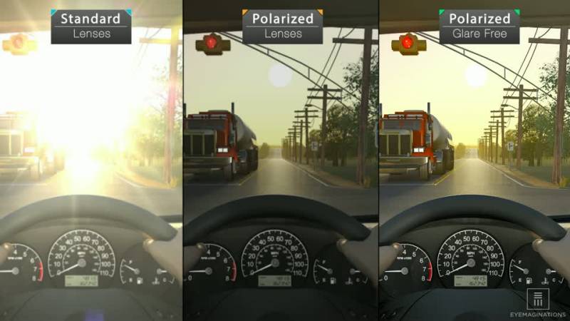 polarized lenses examples